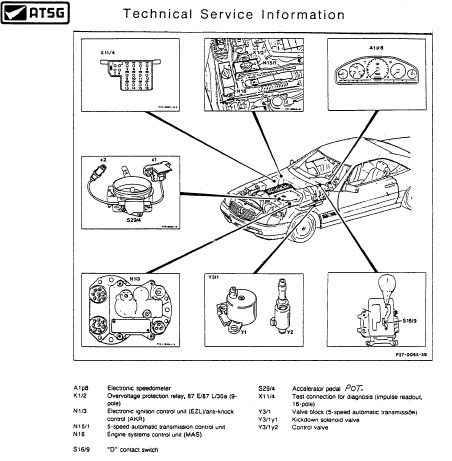 ATSG 2005